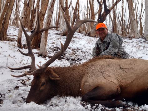 Feng Wei Photography Getty Images One of the largest mammals in North America, male elk can weigh well over 700 po. . Wyoming elk hunting ranches